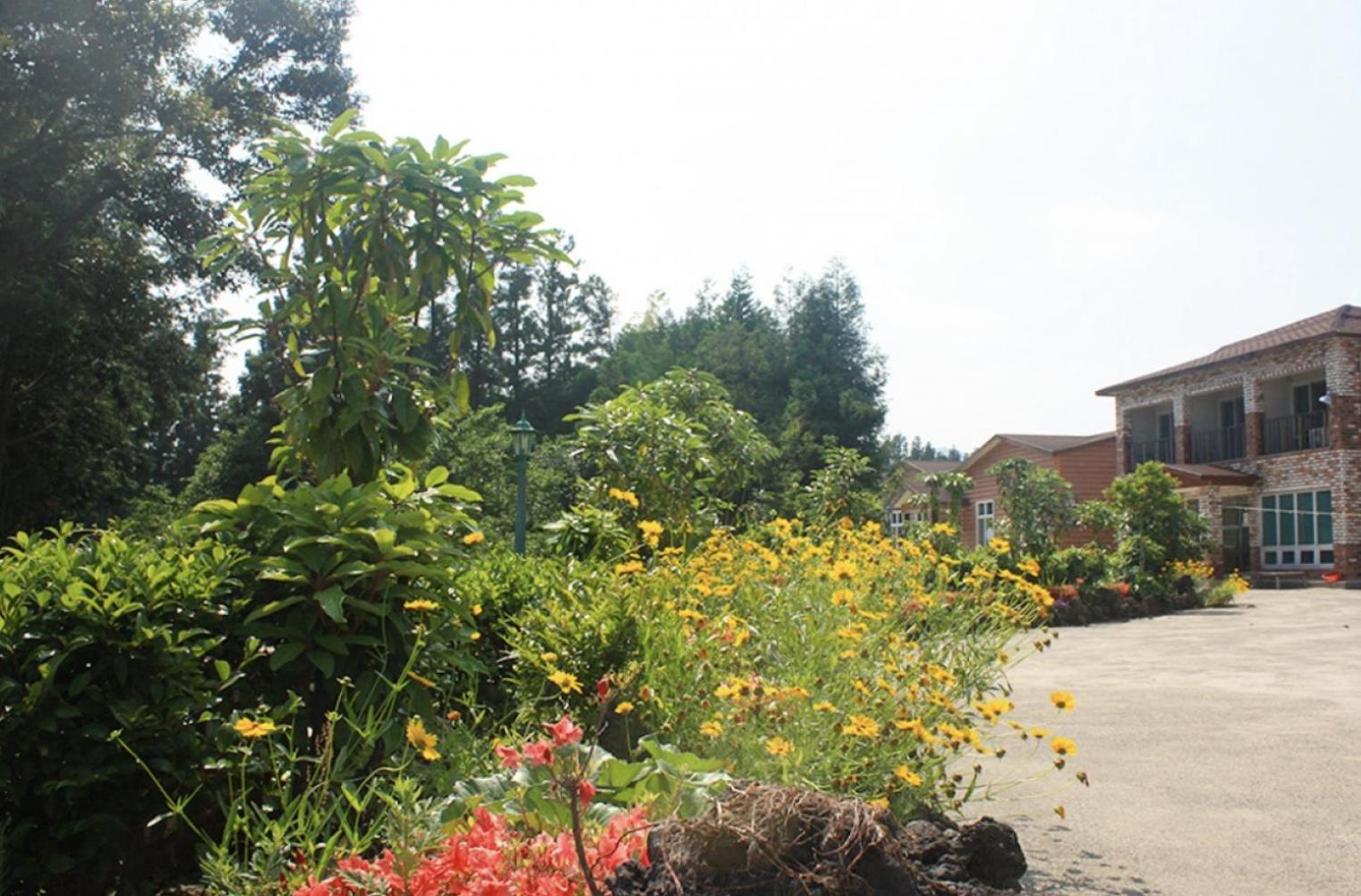 Jeju Ts Youth Hostel & Resort Seogwipo Exterior foto